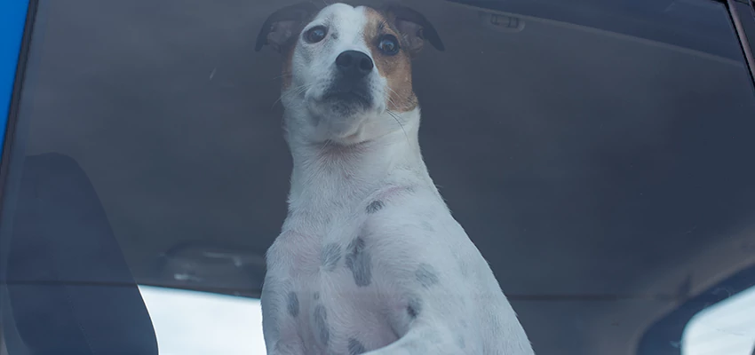 Car Lockout Solutions in Whittier, California